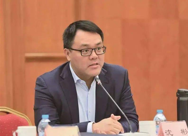 沈彬:下半年钢铁生产经营将步入正轨