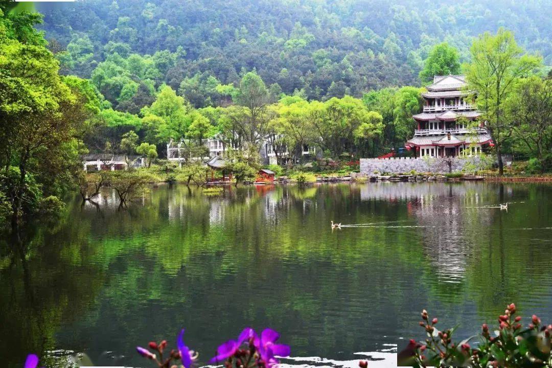 夏日溯溪清凉逍遥湖玩不湿身的水滑道听山林之间虫鸣鸟叫最后两天特惠