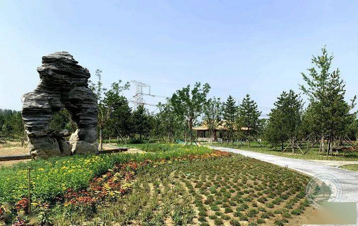 北京通州生态园图片