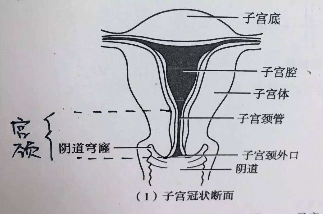 有些宝宝,为啥总是留不住?