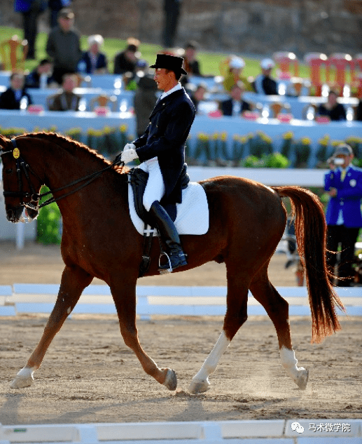 还记得,现在原是东京奥运会马术比赛的日子