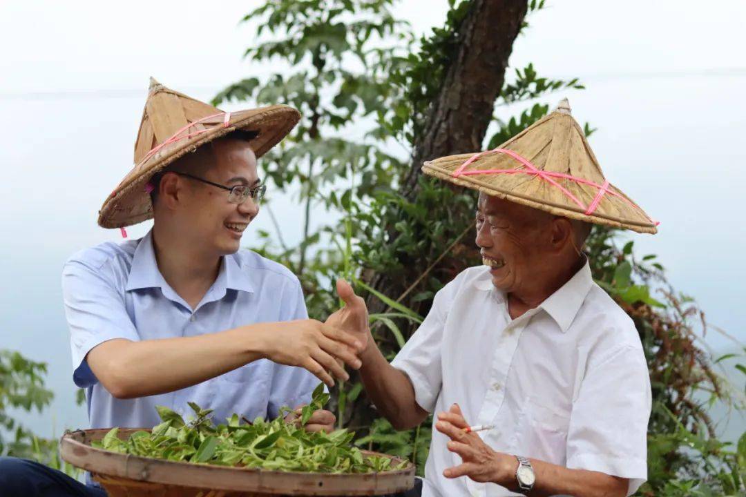 幸福藏在丰收时节茶农的笑容里