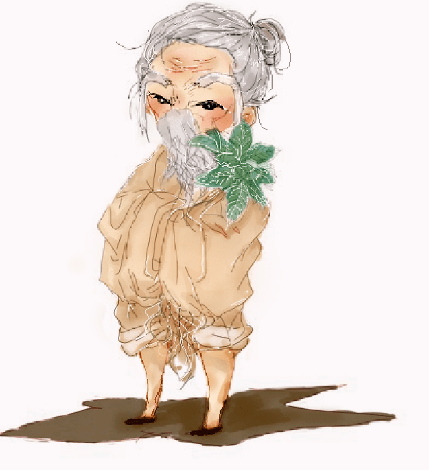 第一位出场的是人参老爷爷,自带儒雅气质,大补元气,安神益智,pick他会