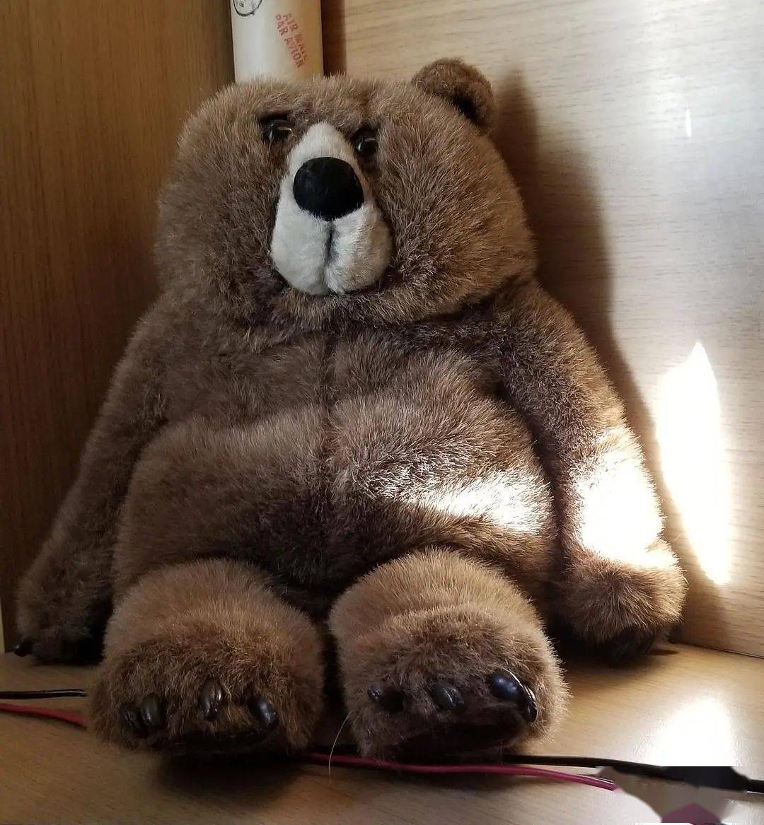 企鹅头裂开了其实企鹅是在挠头最后小圈给大家欣赏一下肌肉皮卡丘哪吒