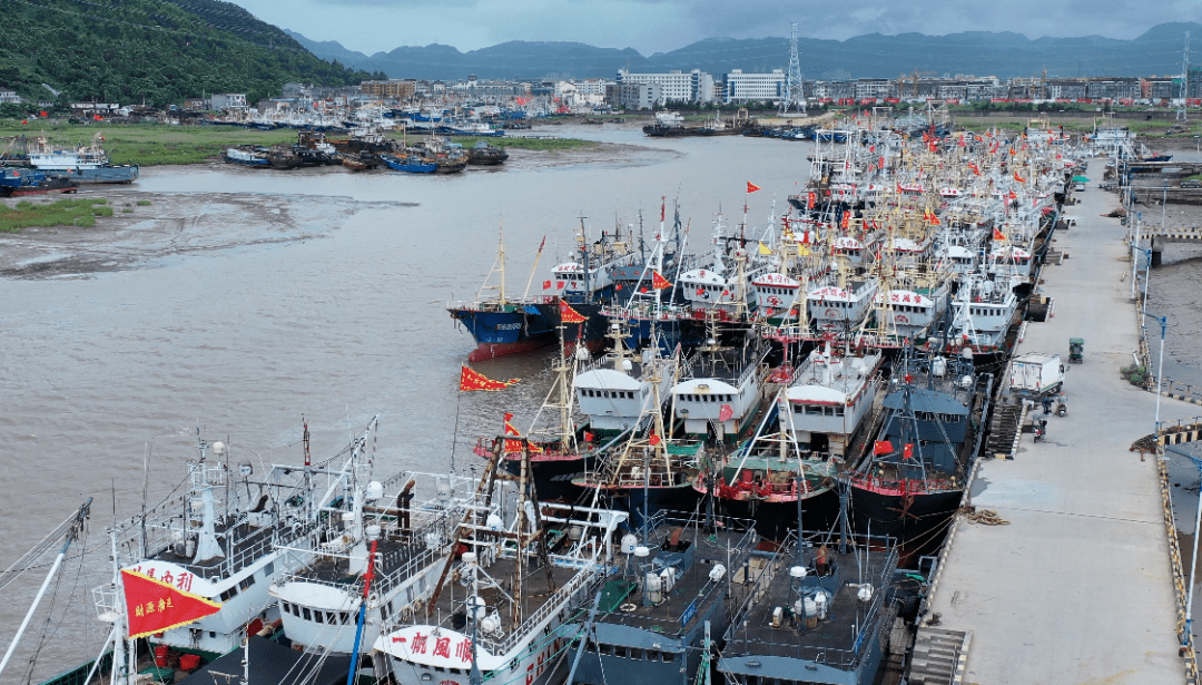 台风"黑格比"来袭 龙港市渔船全部归港避风_温州市