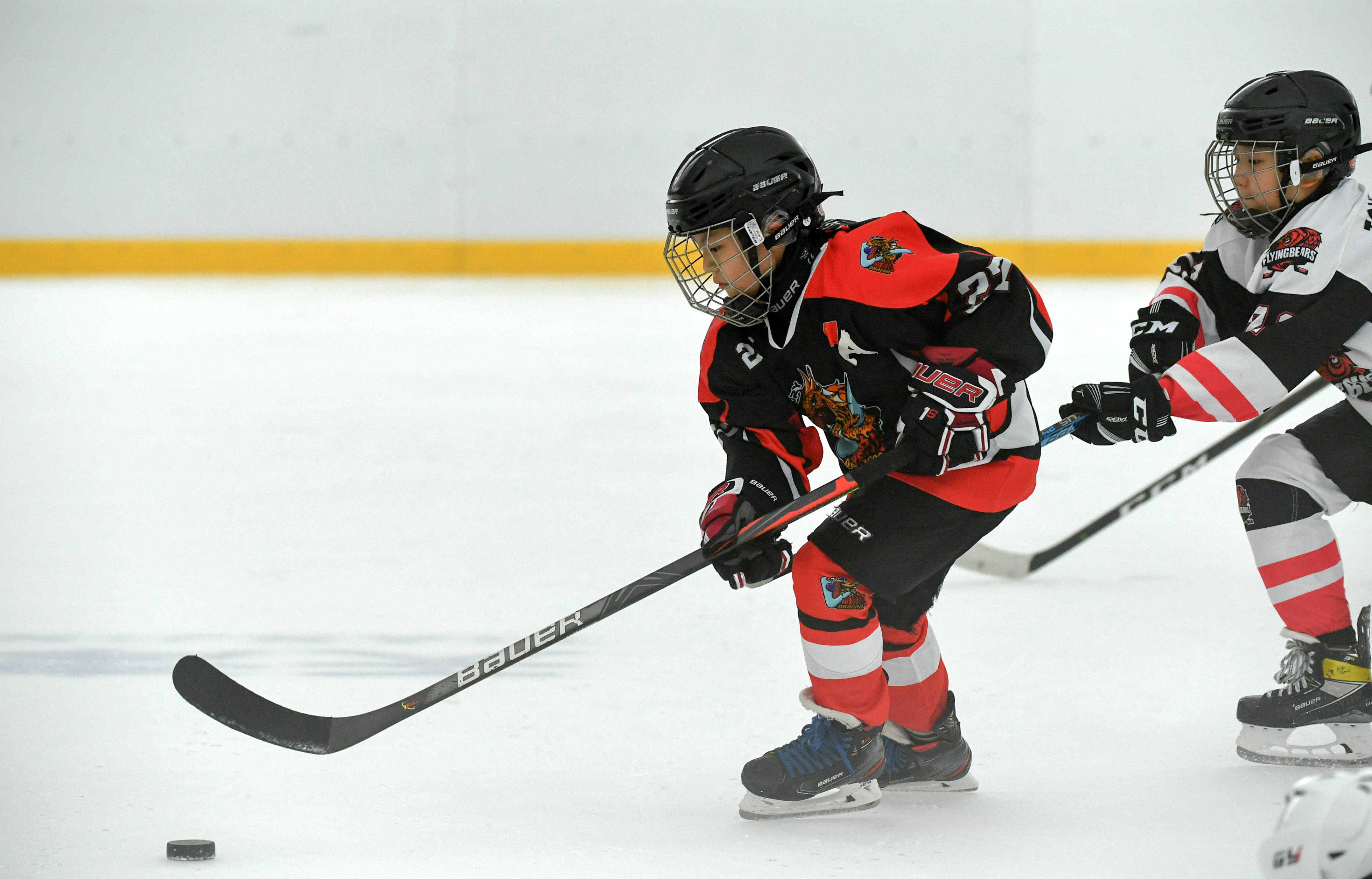 冰球——"斯坦利杯"全国青少年冰球邀请赛赛况