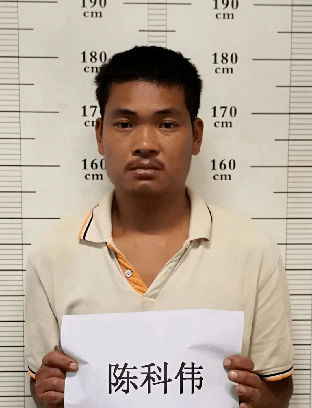 关于公开征集陈伟平涉黑恶犯罪团伙违法犯罪线索的通告_龙川县