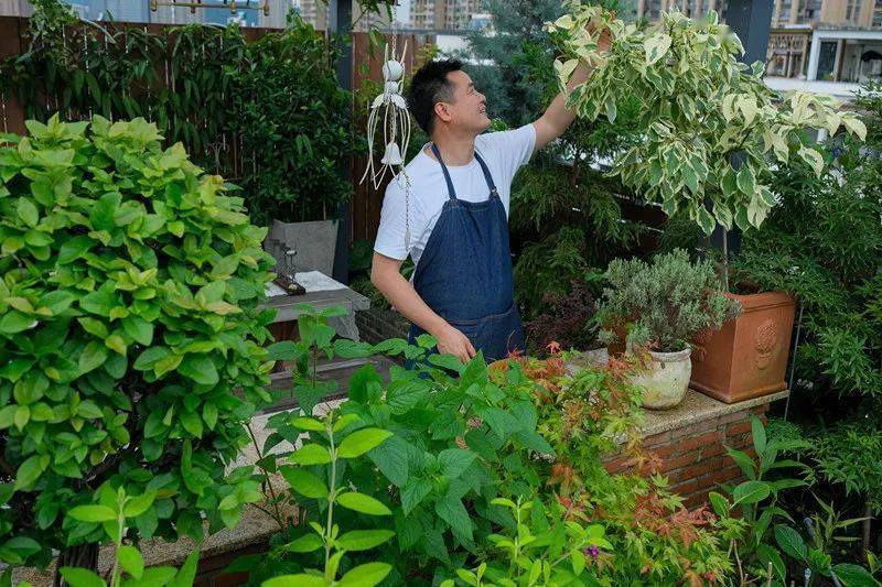 今晚六叔直播首秀学低维护露台花园打造抽80份价值88元种植土