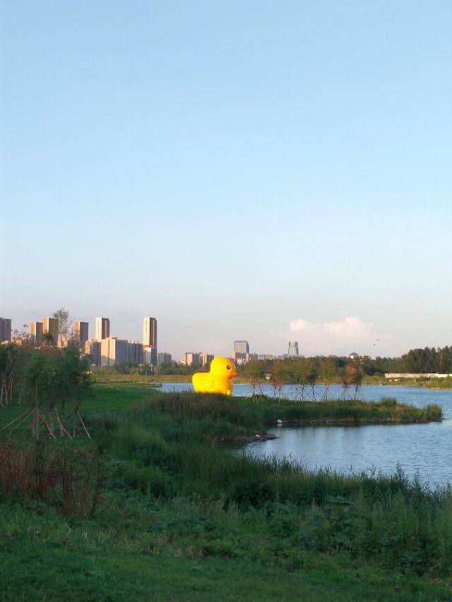 长春南部新城再添新公园,大黄鸭已进场!光明公园已对外开放_人民大街