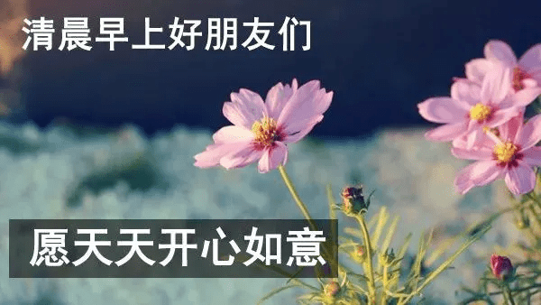 微信早上好各種圖片大全早上好有鮮花圖片問候語2020