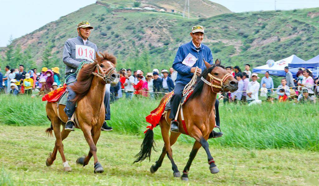 甘肃张掖:祁连山下牧民赛马会助力乡村旅游_马蹄藏族乡