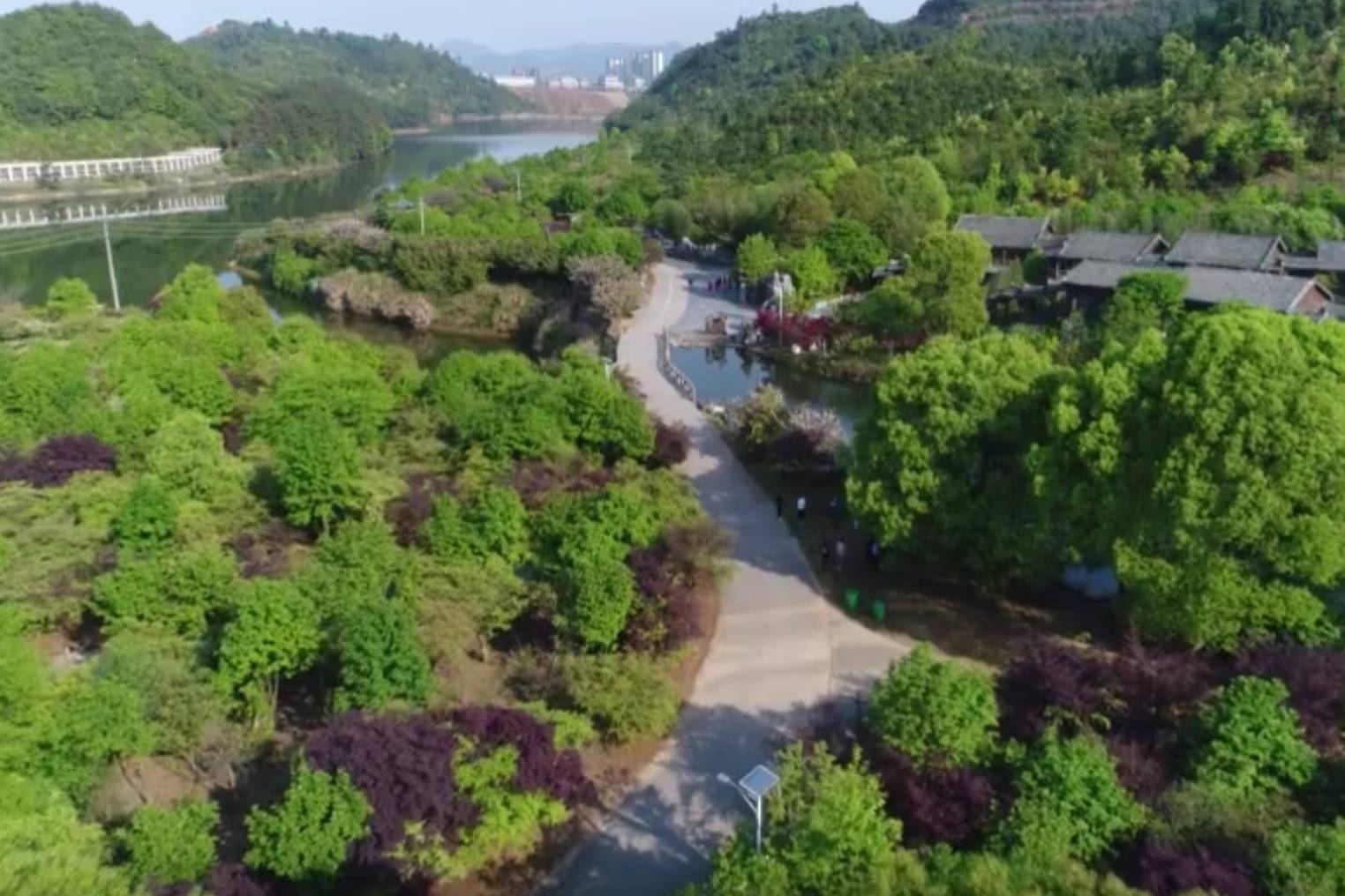 江西昌江区人间四月天春色满园美如画