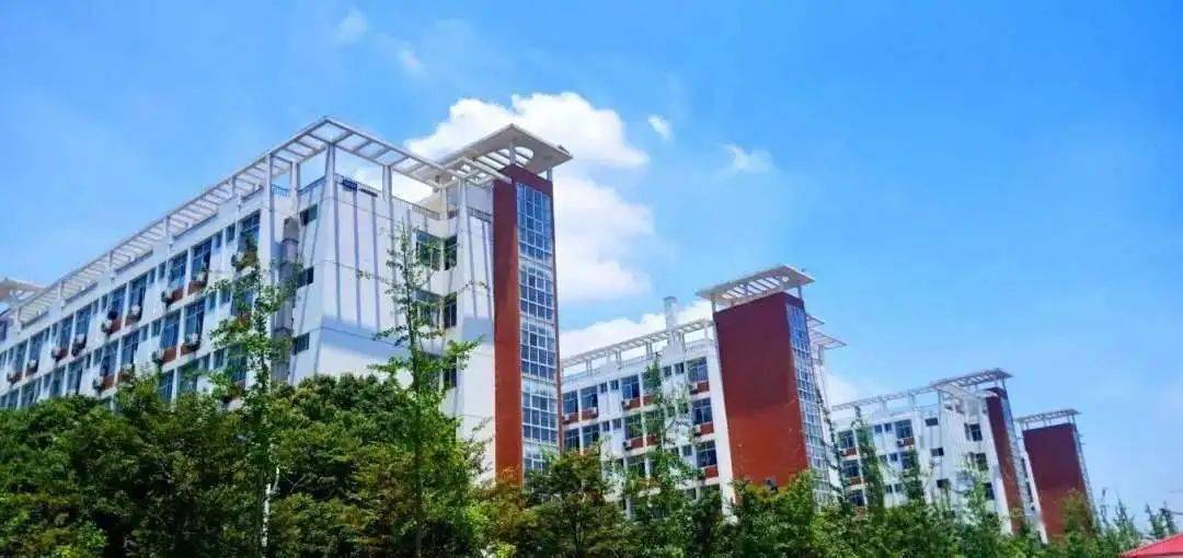 有人拍了拍你南昌工学院特色培养计划等你来战