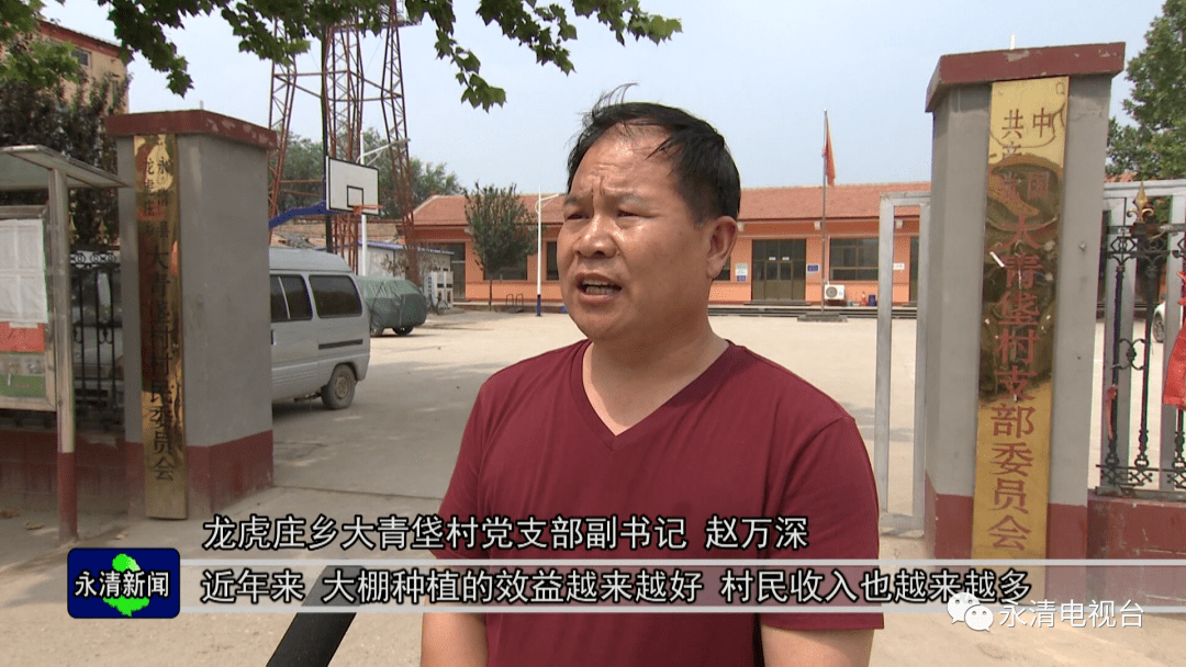 龙虎庄乡大青垡村设施农业为村民带来好日子