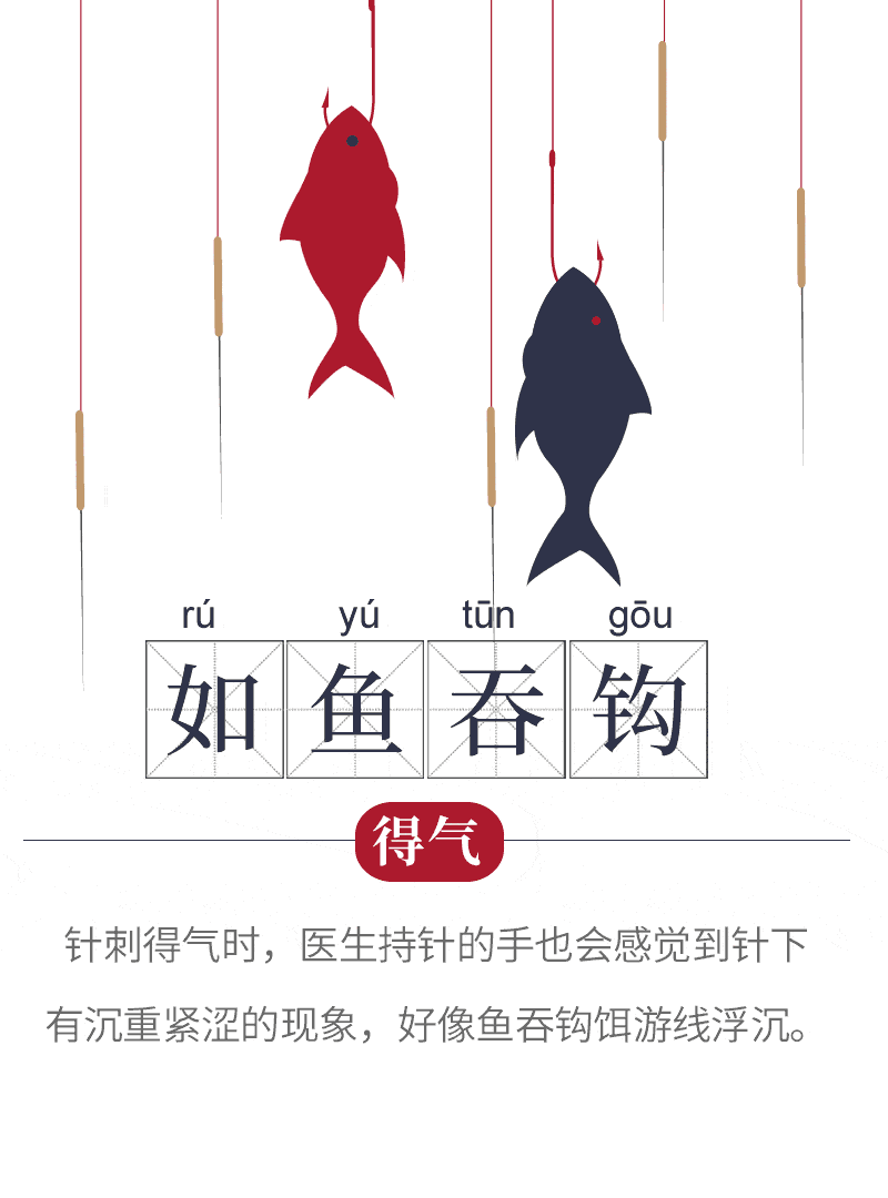 10个漫画动图让你秒懂古中医脉法