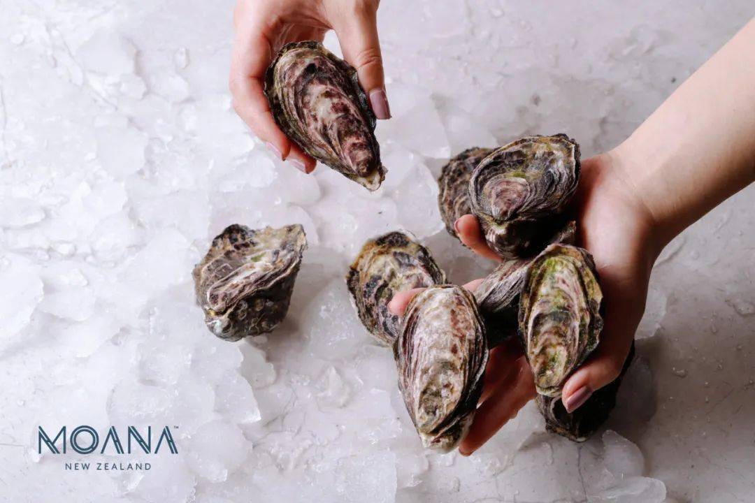 8.15 上海|奶酪x香槟,纯正法式香槟早午餐走起来 香槟客的夏天