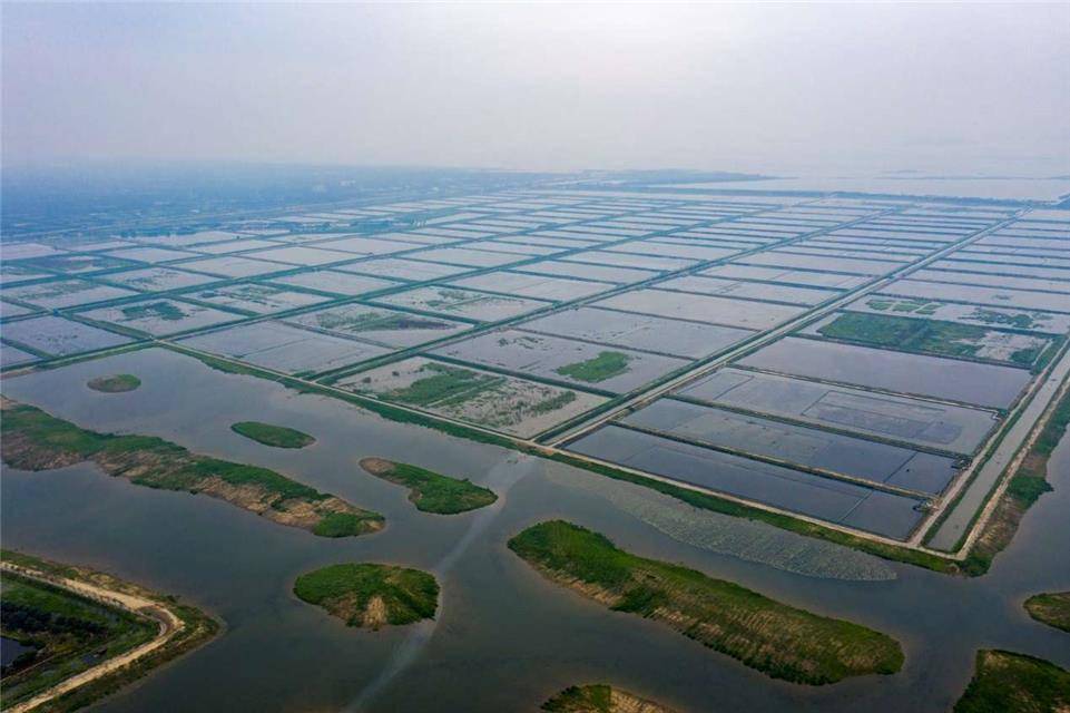 荆州水产养殖业：一片生机勃勃的新天地