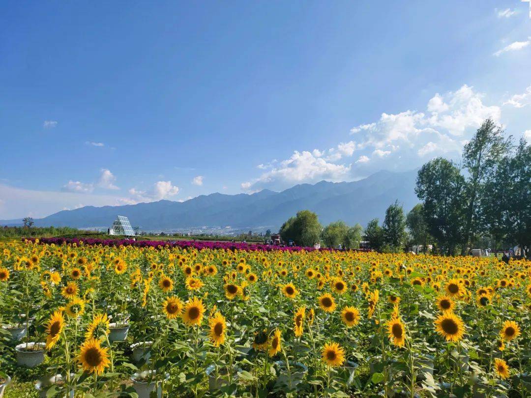 是美到令人尖叫的夏日景色!_夏天