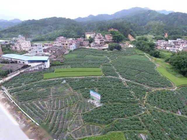 高要區仙人坑村