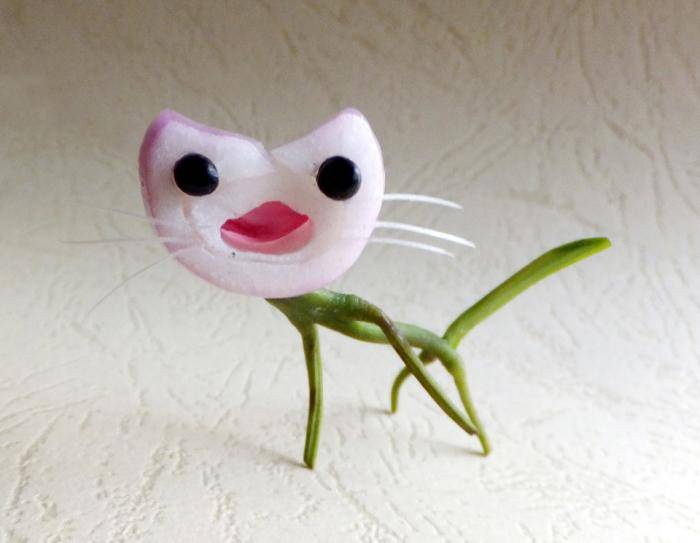 丝瓜熊猫菜叶鸵鸟男子用蔬菜创造动物世界