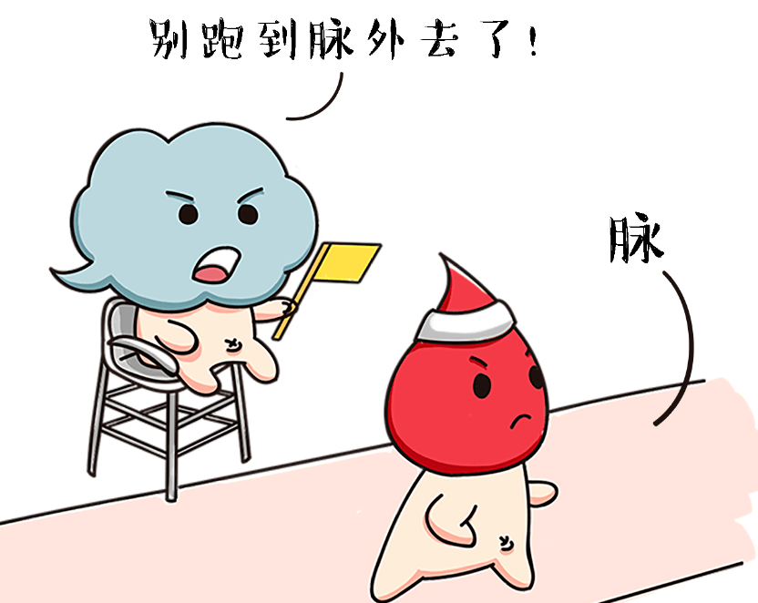 无论哪个环节功能失调,均可导致血行不畅