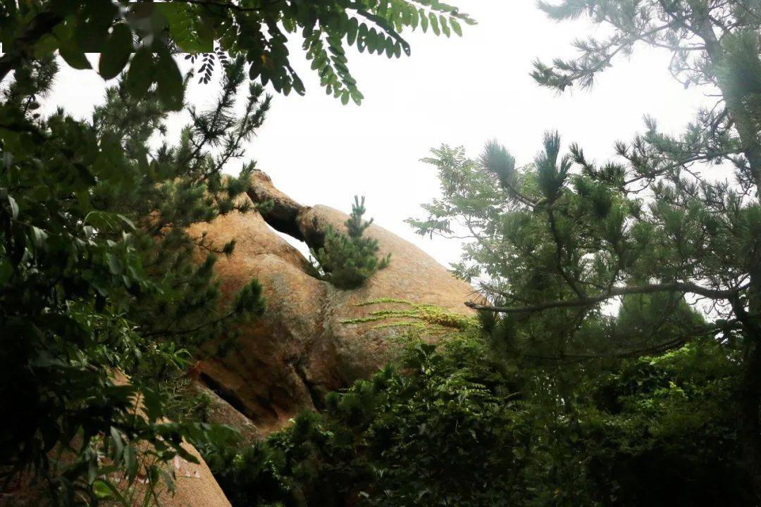 约起来即墨这个景点免门票开放