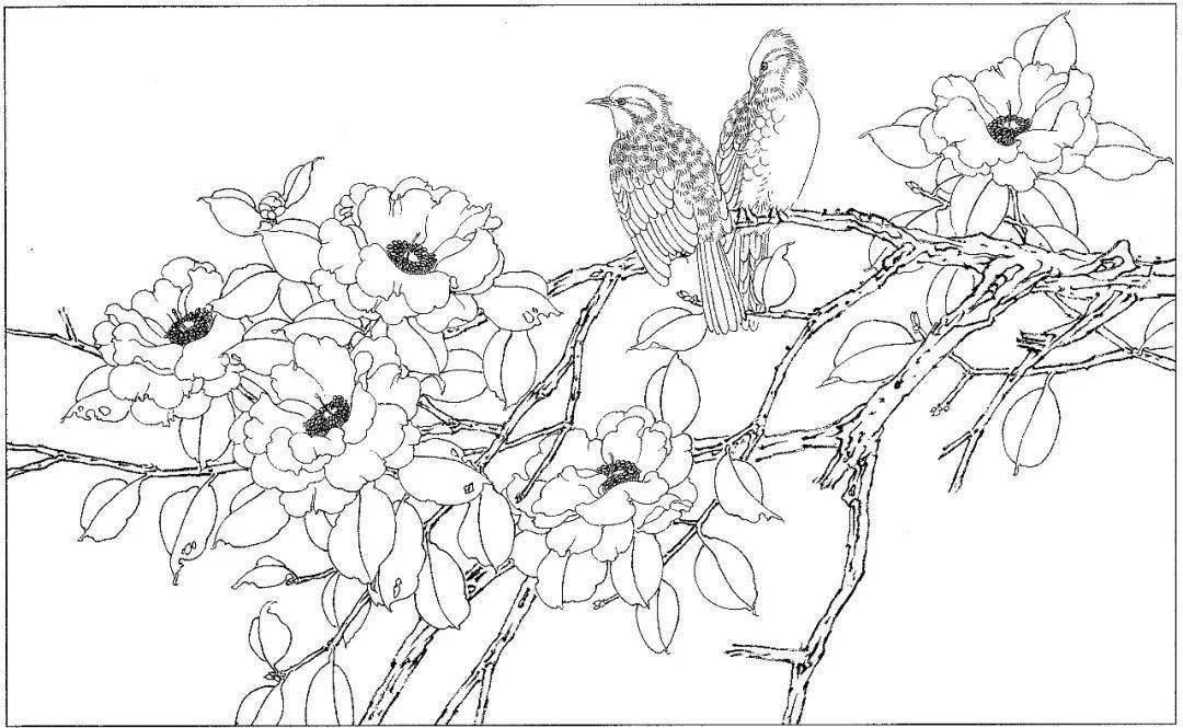 国画白描素材,你值得拥有