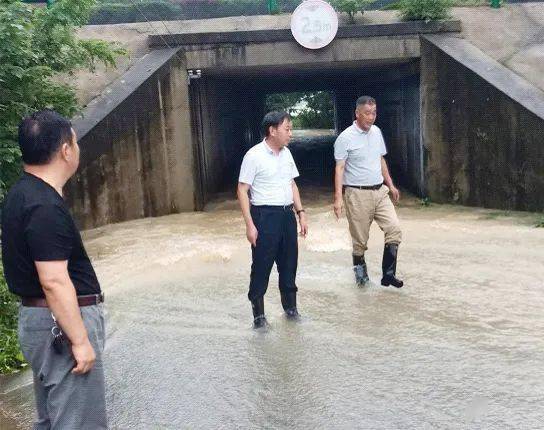 抗洪在一线长丰县代表闻汛而动保民安