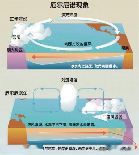 蝴蝶效應是否真的存在