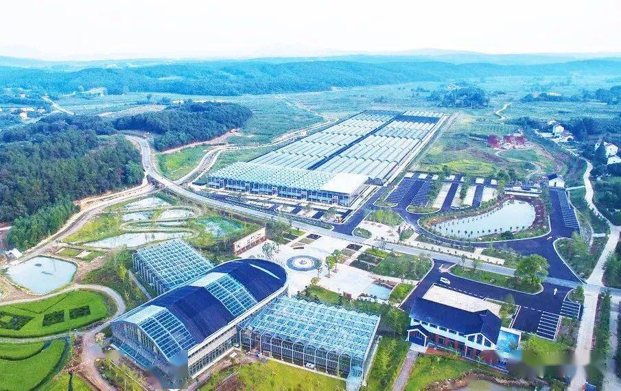 aaaa钟祥市汇源农谷体验园罗荣 摄aaaa湖北省漳河景区韩清华 摄aaaa