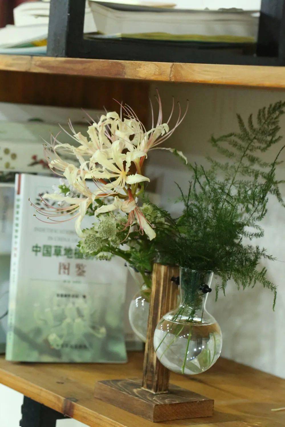 这里有美轮美奂的石蒜插花艺术作品不如来植物园打卡石蒜插花,文化展