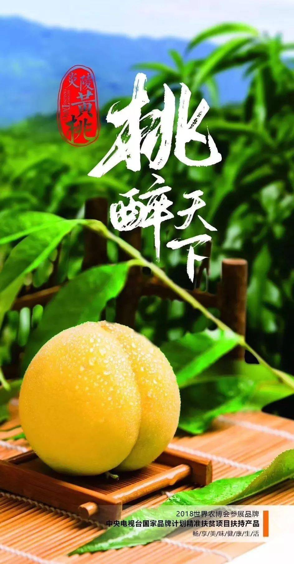 炎陵黄桃直销正宗炎陵高山黄桃一件产地直发