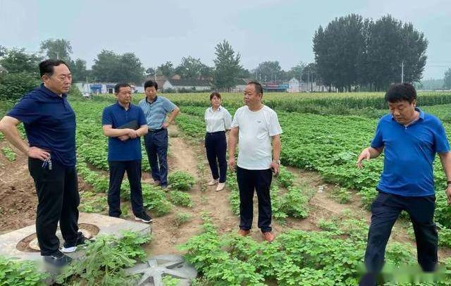 濮阳市自然资源和规划局深入濮范台三县调研宅基地复垦券政策落实情况