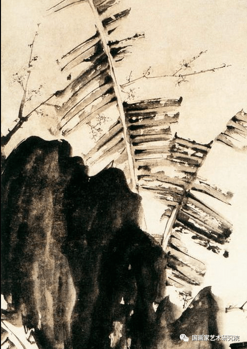 中国国画历代精品高清展:(1338)明 徐渭《蕉石图》ok;-]o0-[p;_手机