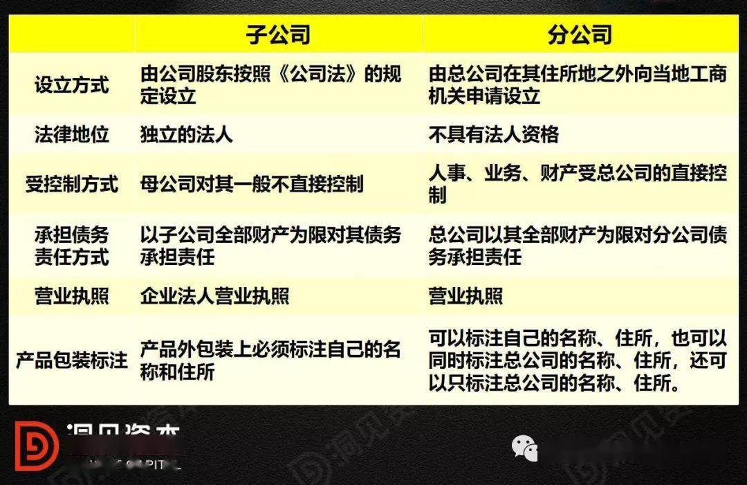 一文总结总公司分公司母公司与子公司的联系与区别