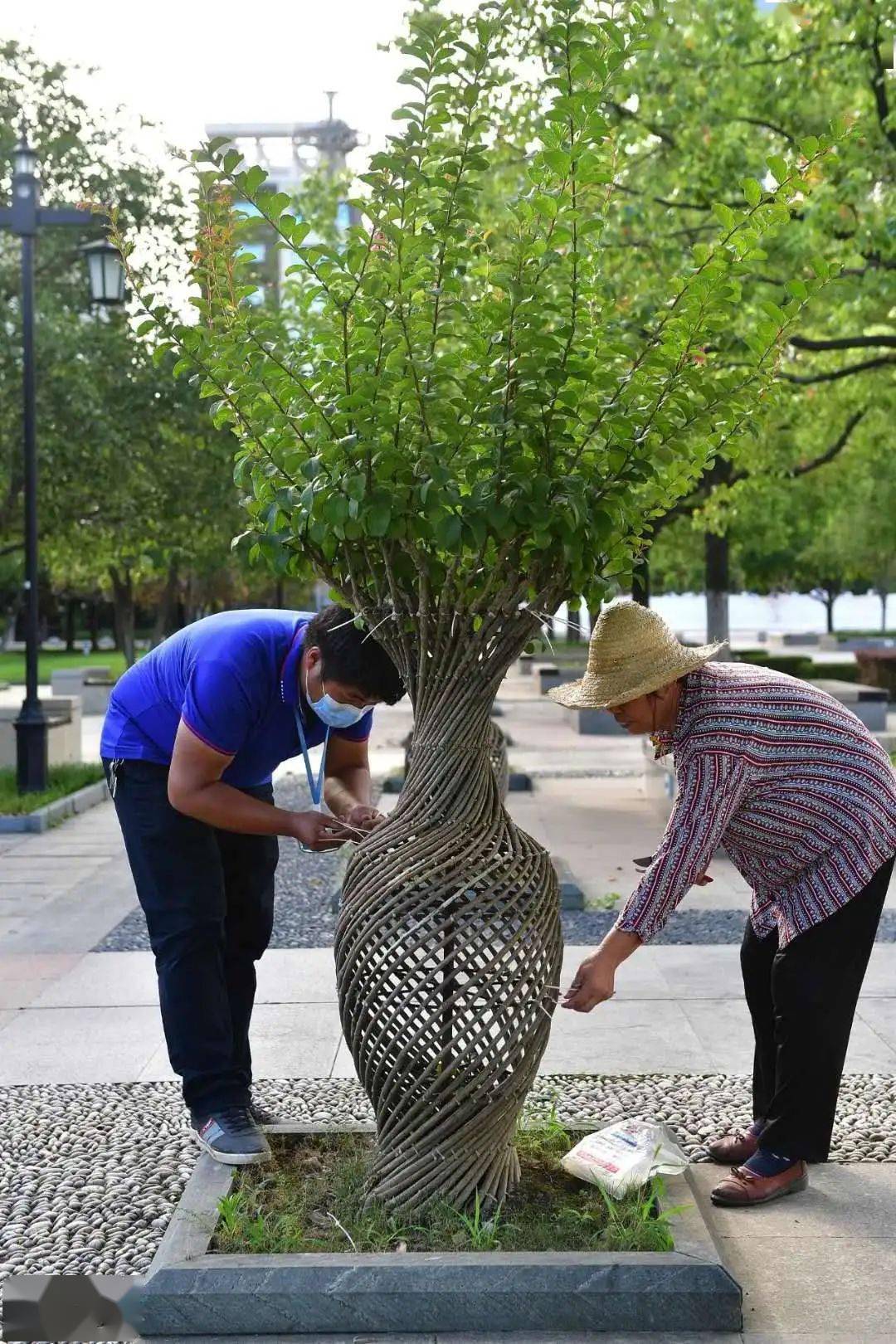 工作人员在维修紫薇花篮.汉口江滩的观光步道和健身器材.