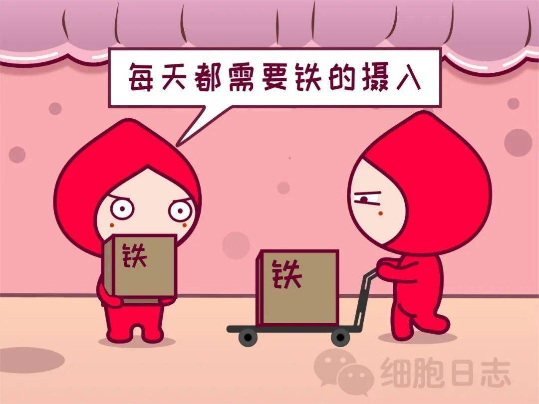 去献血被告知血红蛋白偏低咋回事