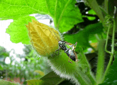 400_290gif 动态图 动图