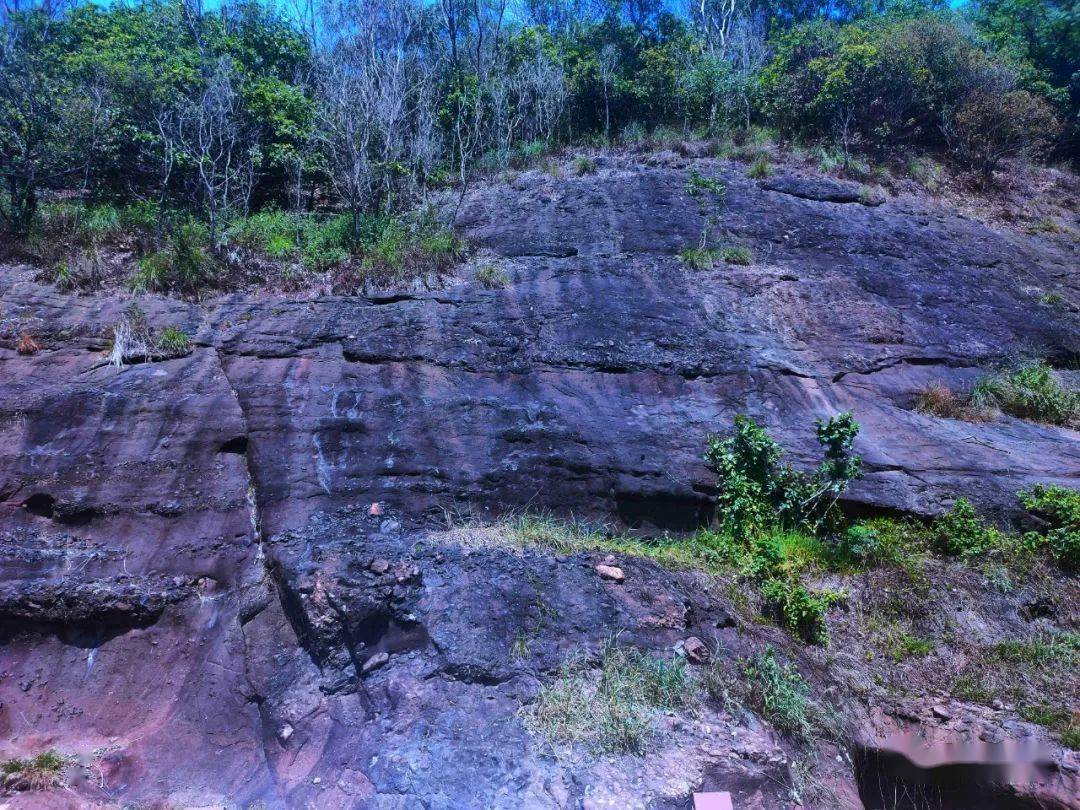 中山黄圃镇海蚀遗址图片