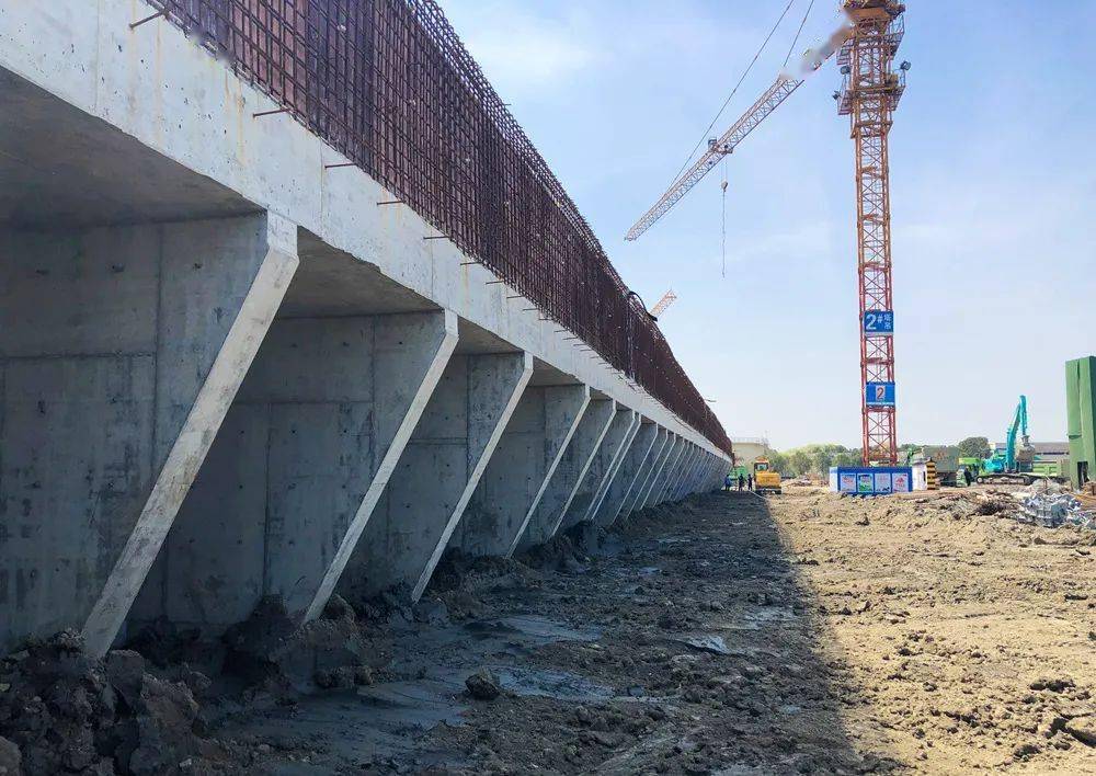 它来啦!它来啦!优质水厂的"巨无霸"终于来啦!