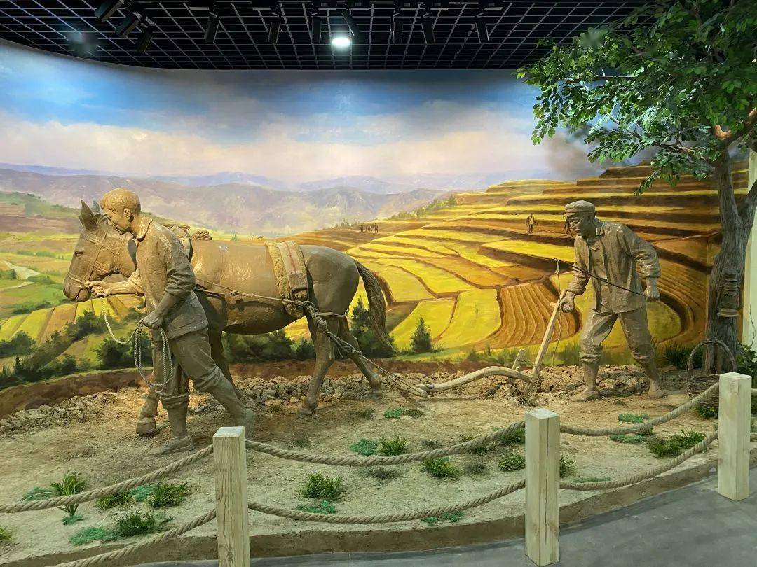 讲好"黄河故事",传承历史文脉  "黄河之滨·乡土岁