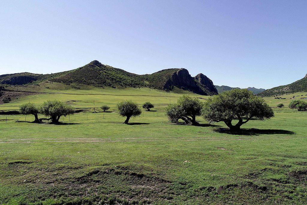 2020年8月12日,内蒙古赤峰,乌力吉沐沦河国家湿地公园,河谷湿地景色.