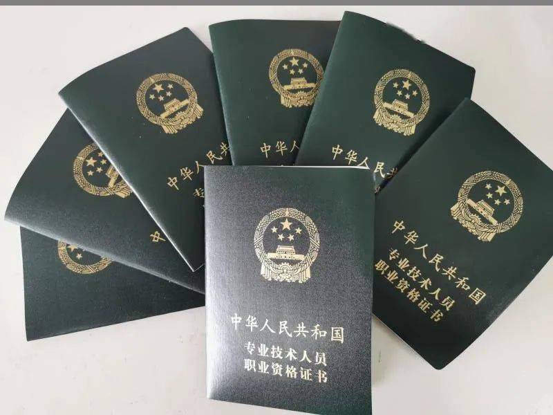 专业技术资格(水平)考试全国计算机技术与软件