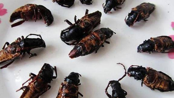 农村特色美食山春牛在你眼中恐怖的存在确是农民口中的美味