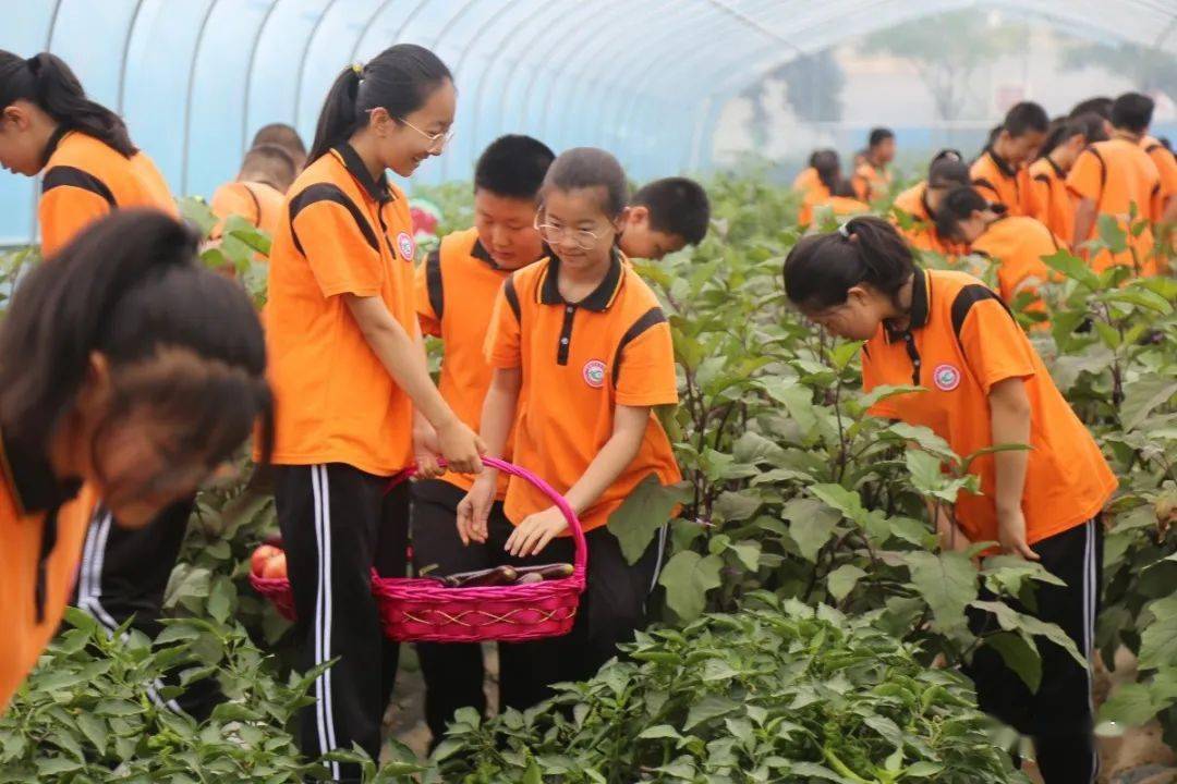 育才学校官网_育才学校_育才学校属于什么档次