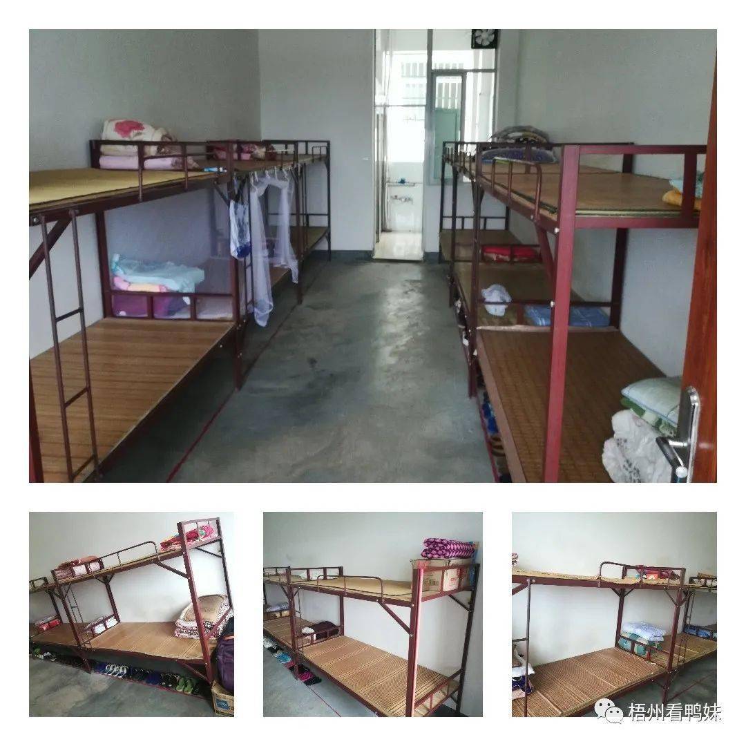 藤县象棋一中太美了