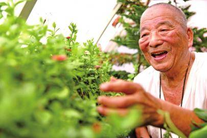 耄耋夫妻的空中花园_陈衍