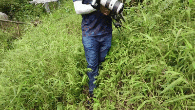 趴渠边蹲草丛斗魂五人组真牛