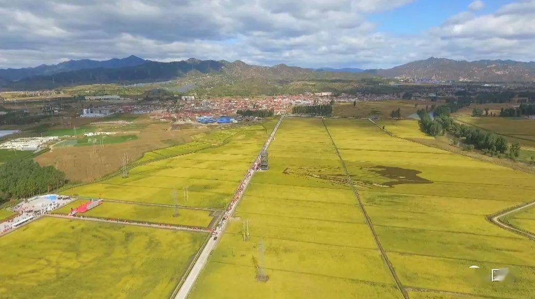 普通话之乡金沟屯镇再次惊艳世界!承德门先生这样说.