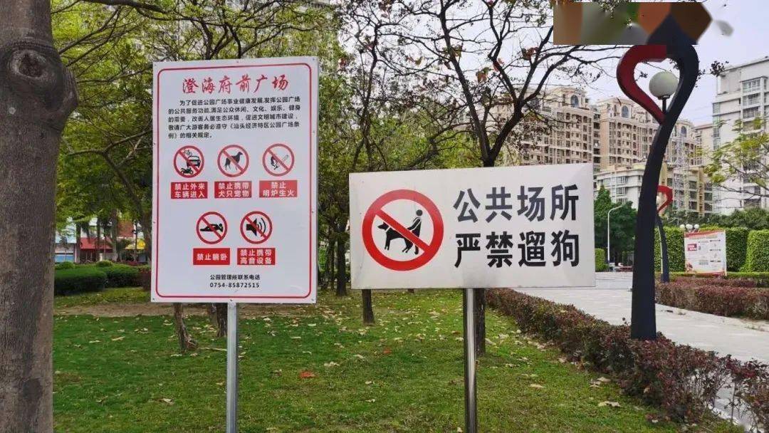 创文攻坚进行时养犬需规范别在遛狗中溜走了文明